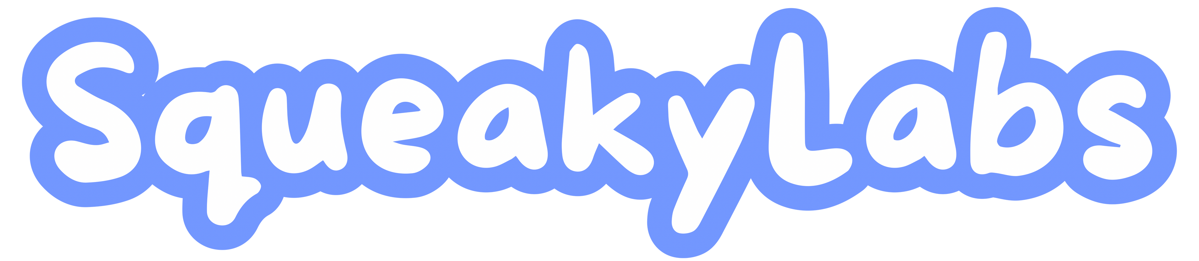 SqueakyLabs